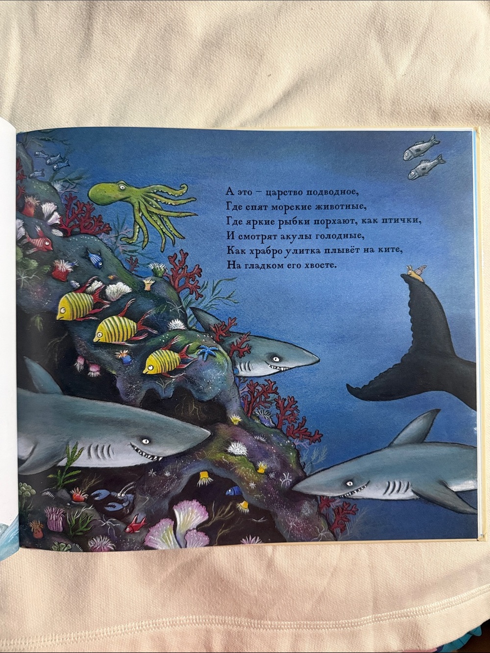 Улитка и Кит - Джулии Дональдсон и Акселя Шеффлера - Picture 3 of 5